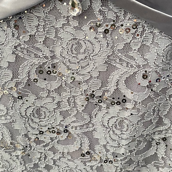 Mother of the Bride Silver Gray Dress - Picture 4 of 5